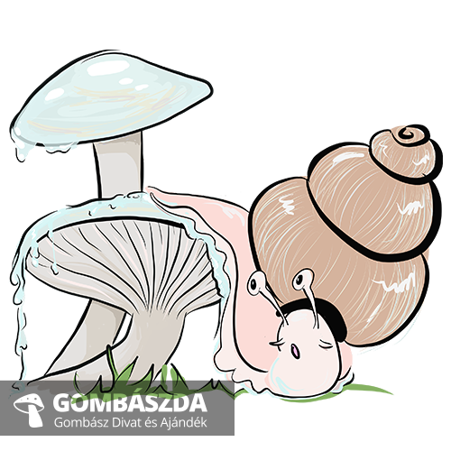 csigagomba