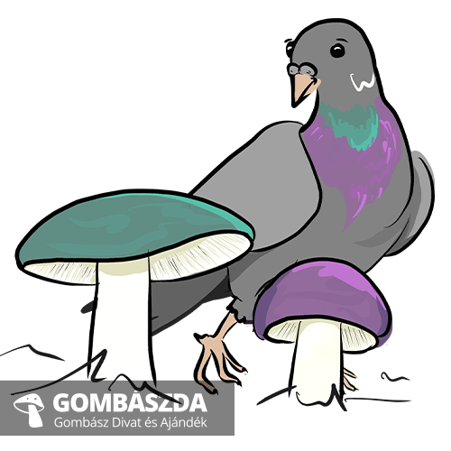 galambgomba
